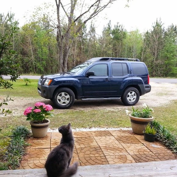 Meet your Posher, Rees - Picture 1 of 1